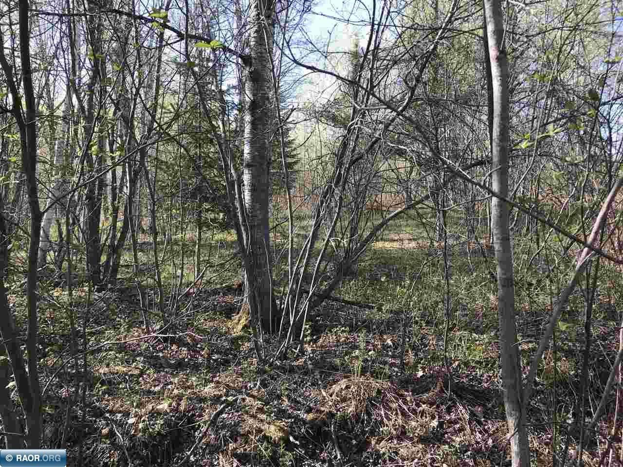 31264 Snowball Road Pengilly, MN 55775 - Photo 7 of 13