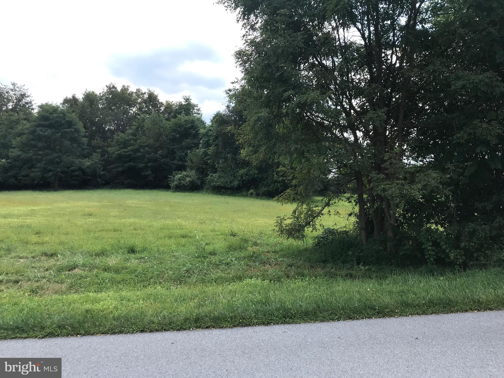 8320 Prophet Acres Road, Unit LOT 17 Fairplay, MD 21733 - Photo 3 of 3 Gallery Image 3
