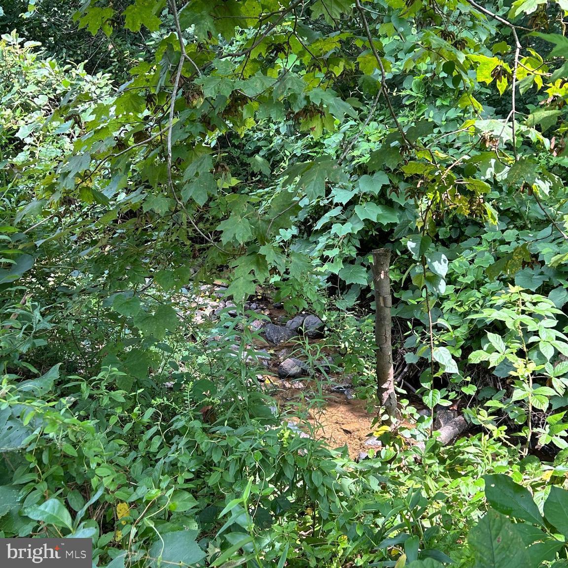 0 Upper Strasburg Road Upperstrasburg, PA 17265 - Photo 2 of 3 a backyard of a house with lots of plant