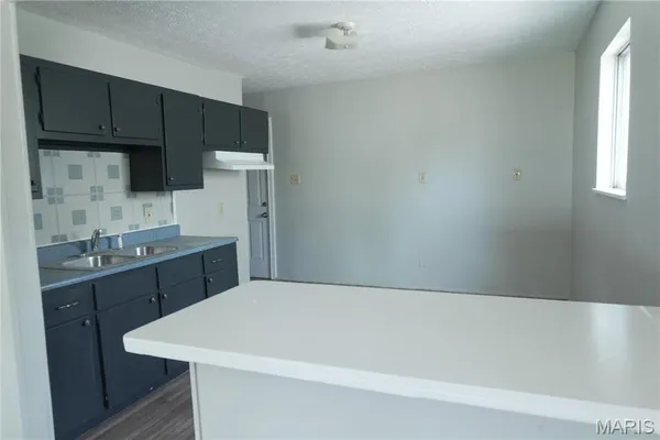 $60,000 | 311 Green Street, East St. Louis, IL 62206