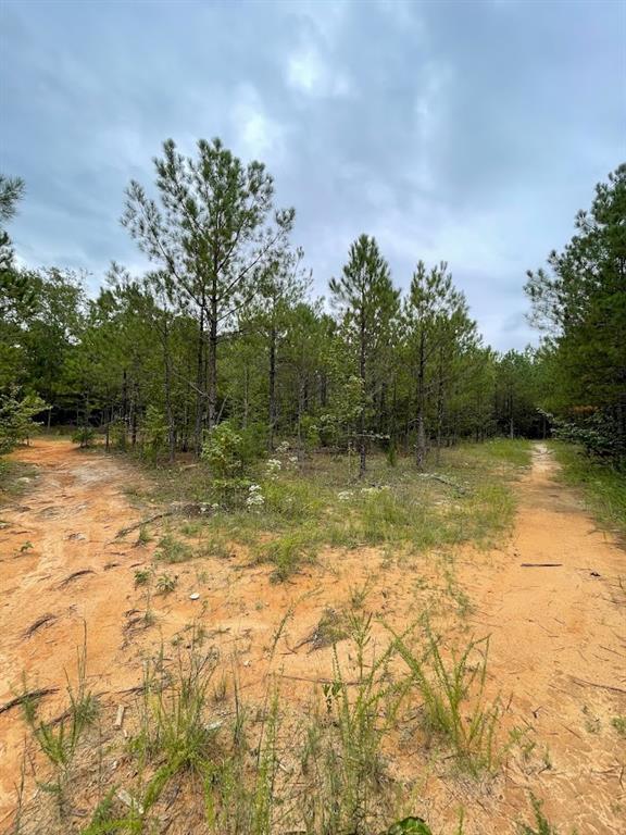 0 Spence Road Fairburn, GA 30213 - Photo 7 of 16 Gallery Image 7