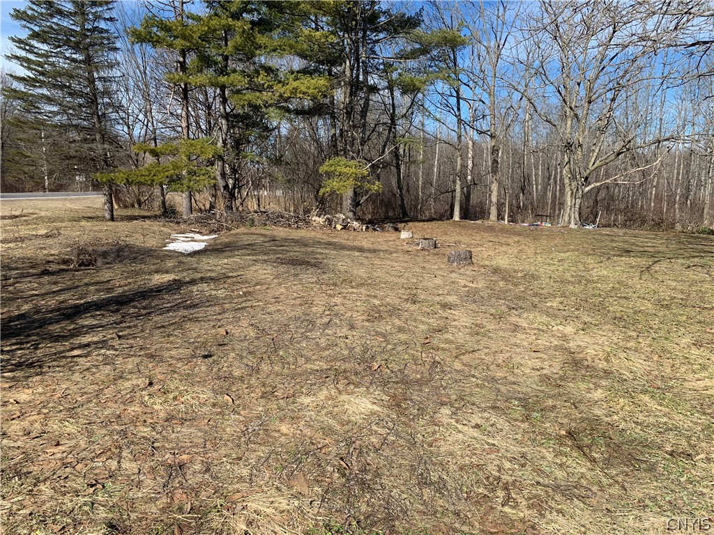 3 Hayfly Road Scriba, NY 13126 - Photo 2 of 7