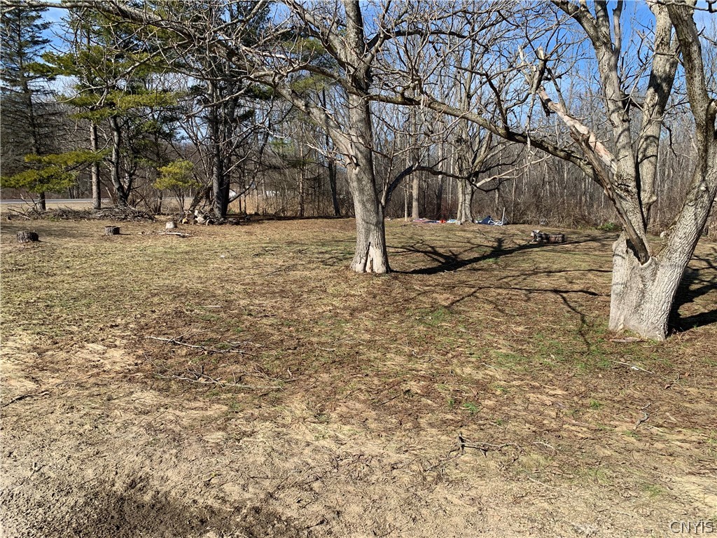 3 Hayfly Road Scriba, NY 13126 - Photo 3 of 7