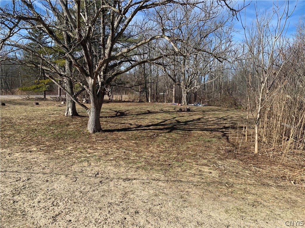 3 Hayfly Road Scriba, NY 13126 - Photo 4 of 7