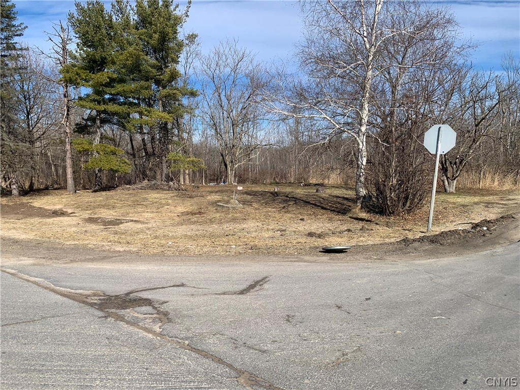 3 Hayfly Road Scriba, NY 13126 - Photo 5 of 7