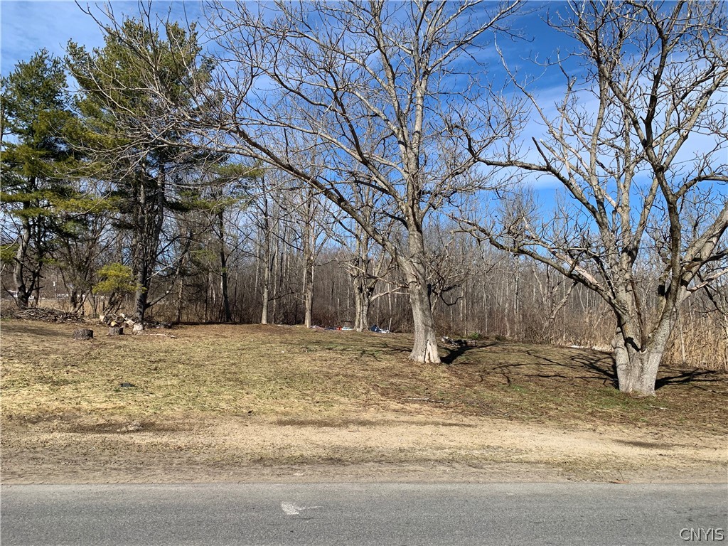 3 Hayfly Road Scriba, NY 13126 - Photo 6 of 7