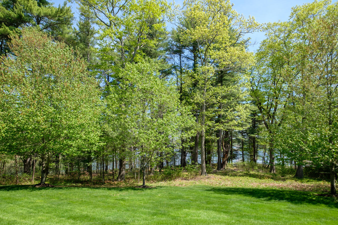 100 Shepard's Cove Road, Unit H305 Kittery, ME 03904 - Photo 32 of 45 Back yard
