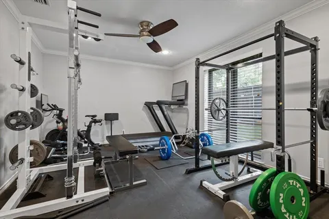 a bedroom with a bed couch and a window