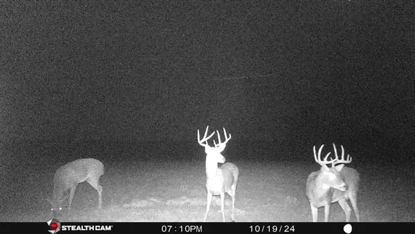 $7,495,000 | 18601 County Road 214, Brookesmith, TX 76827