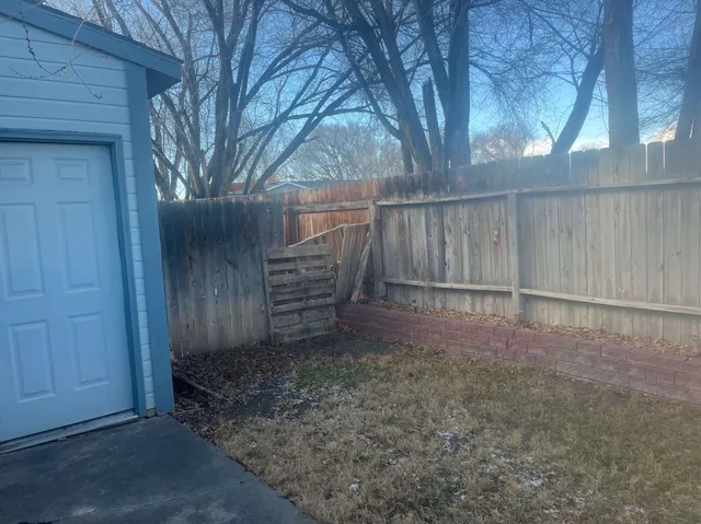 a view of backyard and tree