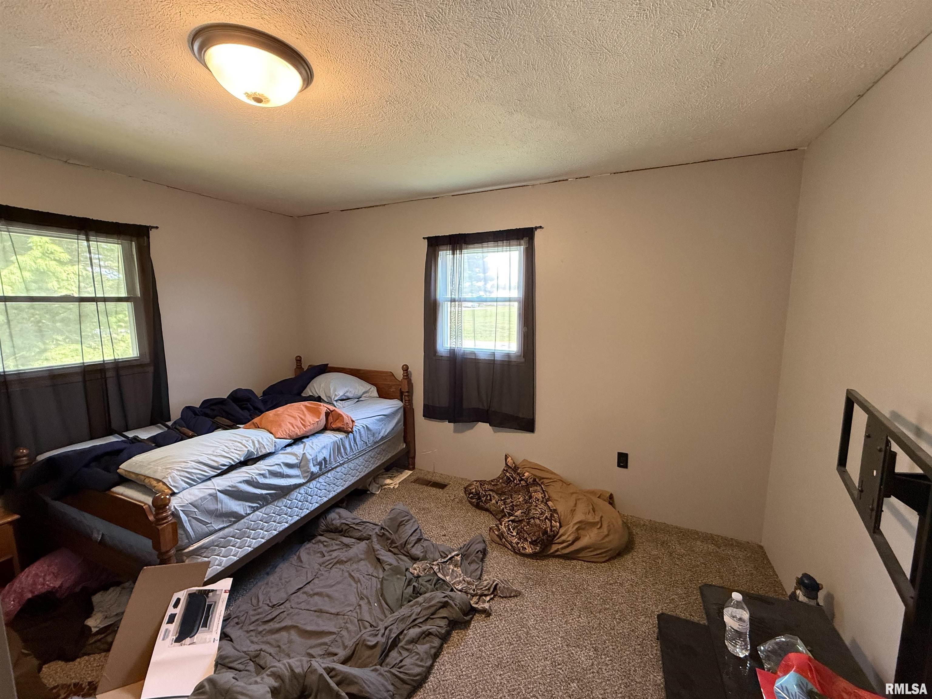 10697 Lincoln Road Benton, IL 62812 - Photo 10 of 27 Gallery Image 10