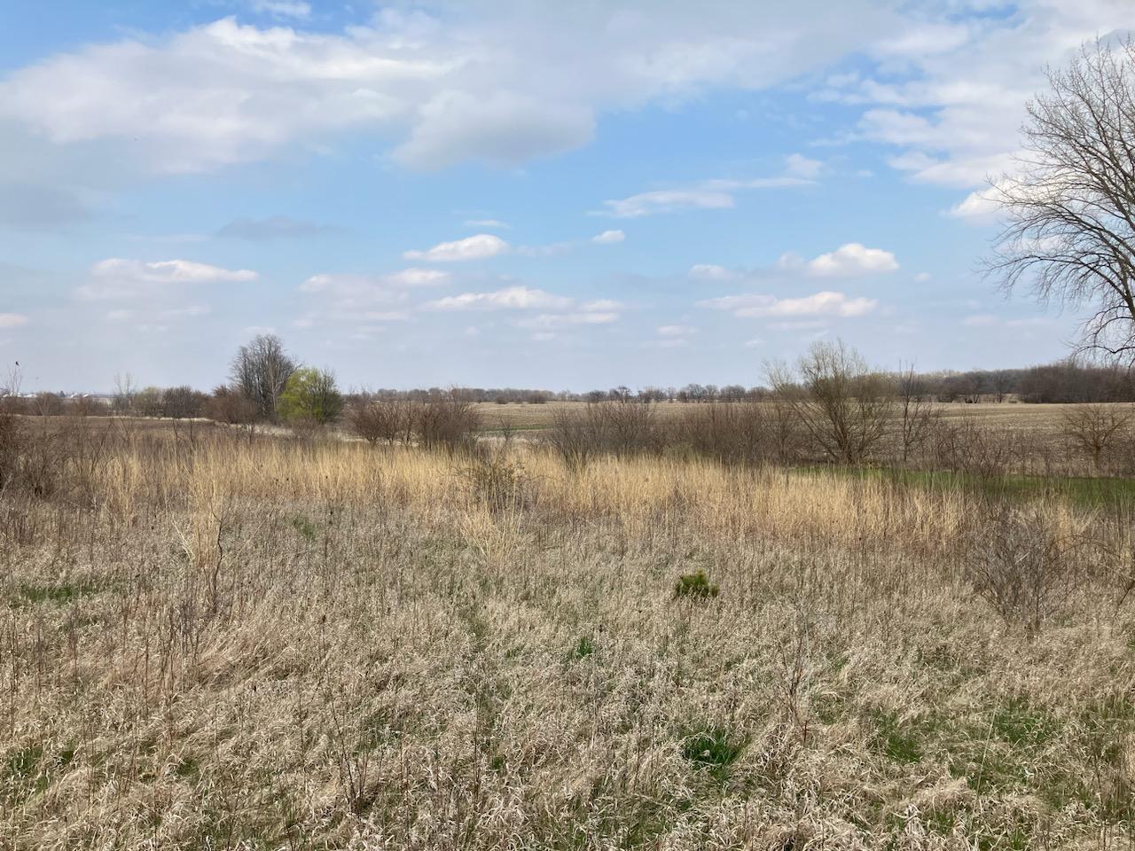 2396 Shaw Road West Brooklyn, IL 61378 - Photo 30 of 40 Gallery Image 30