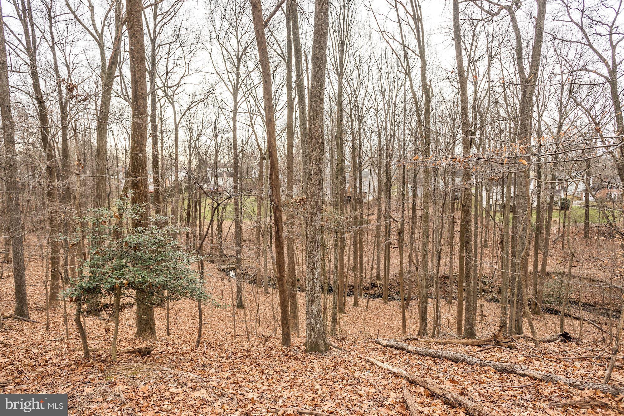 219 Finale Terrace Silver Spring, MD 20901 - Photo 24 of 26