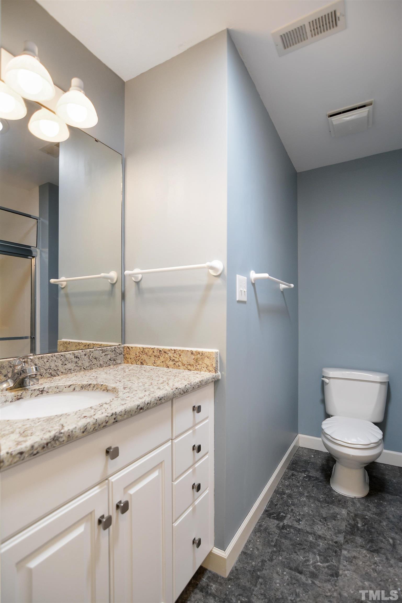 900 Tanworth Drive Raleigh, NC 27615 - Photo 20 of 26 a bathroom with a granite countertop sink a toilet and a mirror