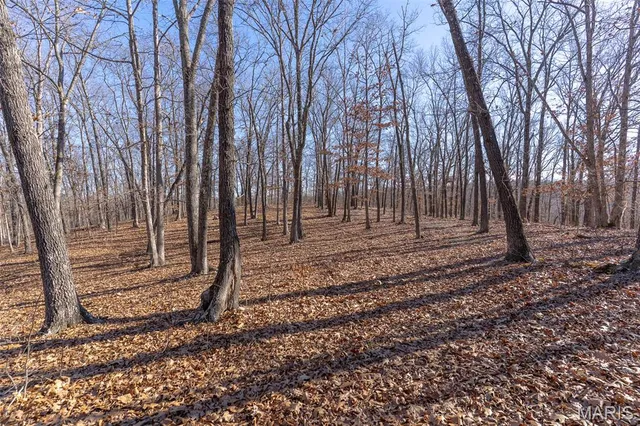 $642,000 | 32 Hwy Yy Cook Station, Cook Sta, MO 65449