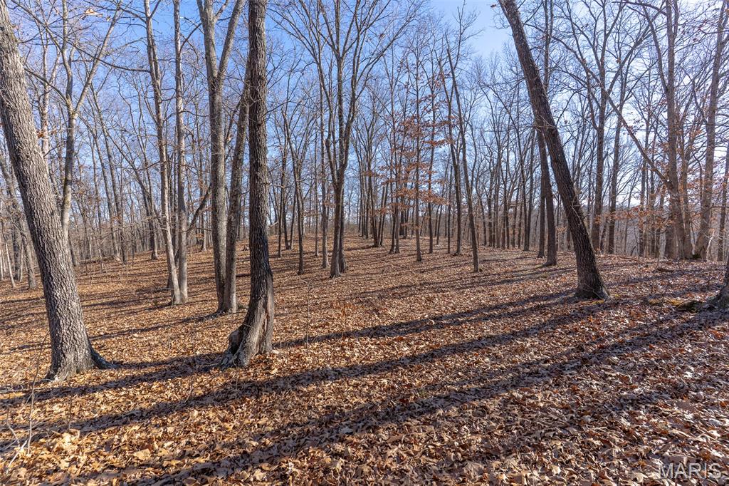 32 Hwy Yy Cook Station Cook Sta, MO 65449 - Photo 15 of 58