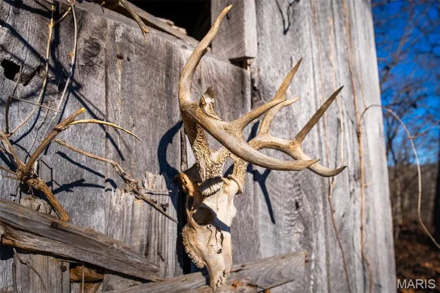 $642,000 | 32 Hwy Yy Cook Station, Cook Sta, MO 65449