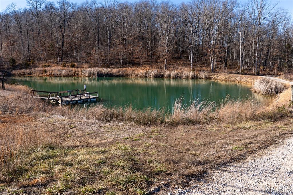 32 Hwy Yy Cook Station Cook Sta, MO 65449 - Photo 18 of 58