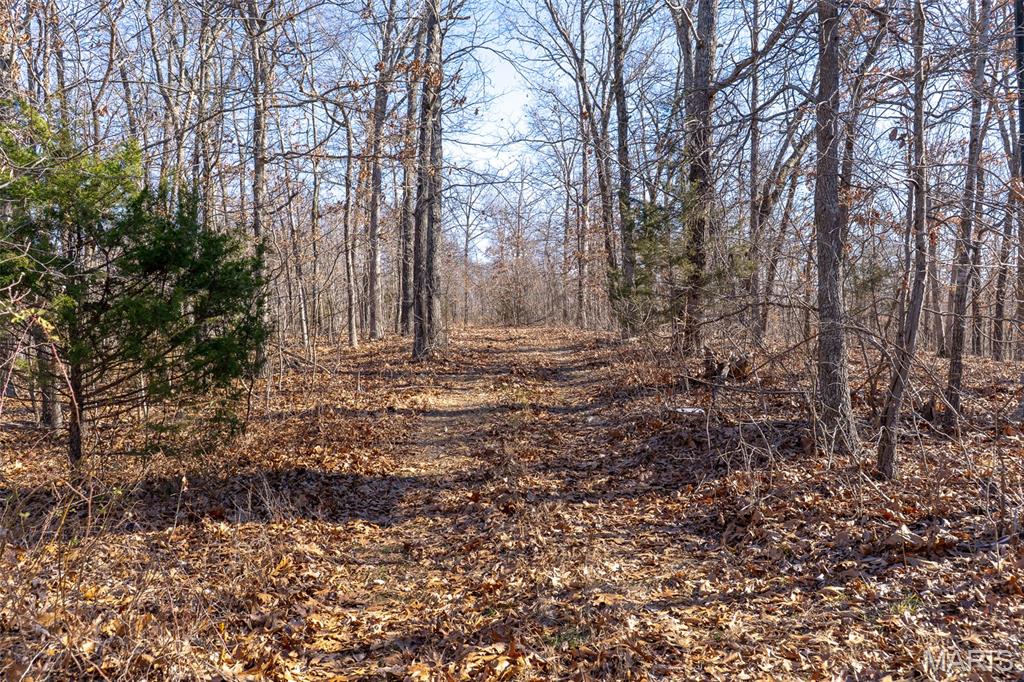 32 Hwy Yy Cook Station Cook Sta, MO 65449 - Photo 28 of 58
