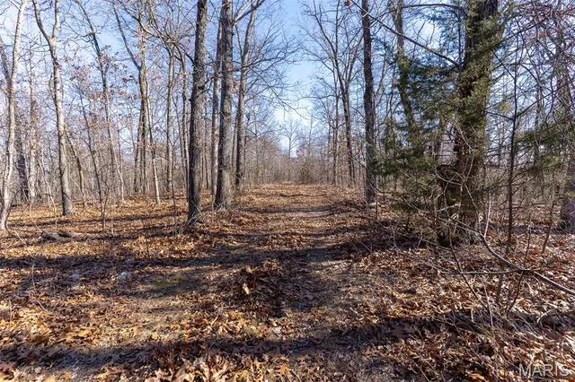 $642,000 | 32 Hwy Yy Cook Station, Cook Sta, MO 65449