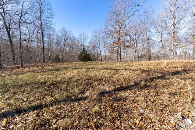 $642,000 | 32 Hwy Yy Cook Station, Cook Sta, MO 65449