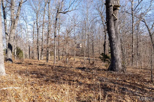 $642,000 | 32 Hwy Yy Cook Station, Cook Sta, MO 65449