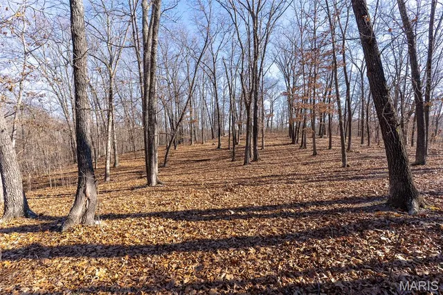 $642,000 | 32 Hwy Yy Cook Station, Cook Sta, MO 65449