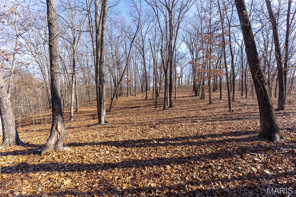 32 Hwy Yy Cook Station Cook Sta, MO 65449 - Photo 43 of 58