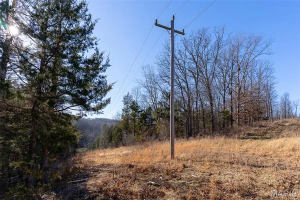$600,000 | 32 Hwy Yy Cook Station, Cook Sta, MO 65449