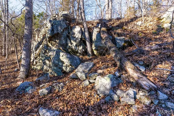 $600,000 | 32 Hwy Yy Cook Station, Cook Sta, MO 65449