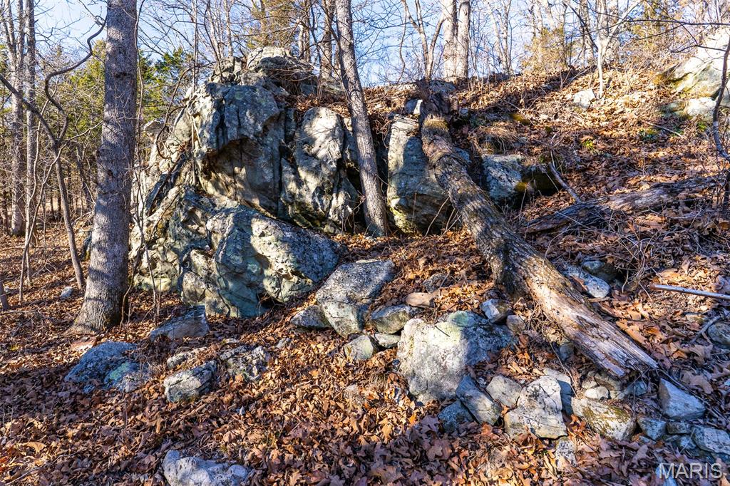 32 Hwy Yy Cook Station Cook Sta, MO 65449 - Photo 46 of 58