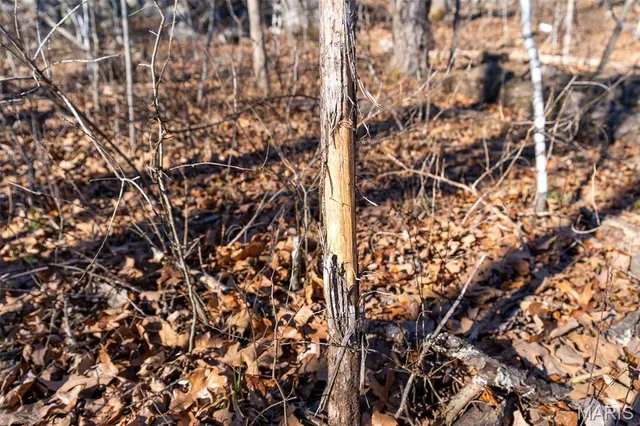 $642,000 | 32 Hwy Yy Cook Station, Cook Sta, MO 65449