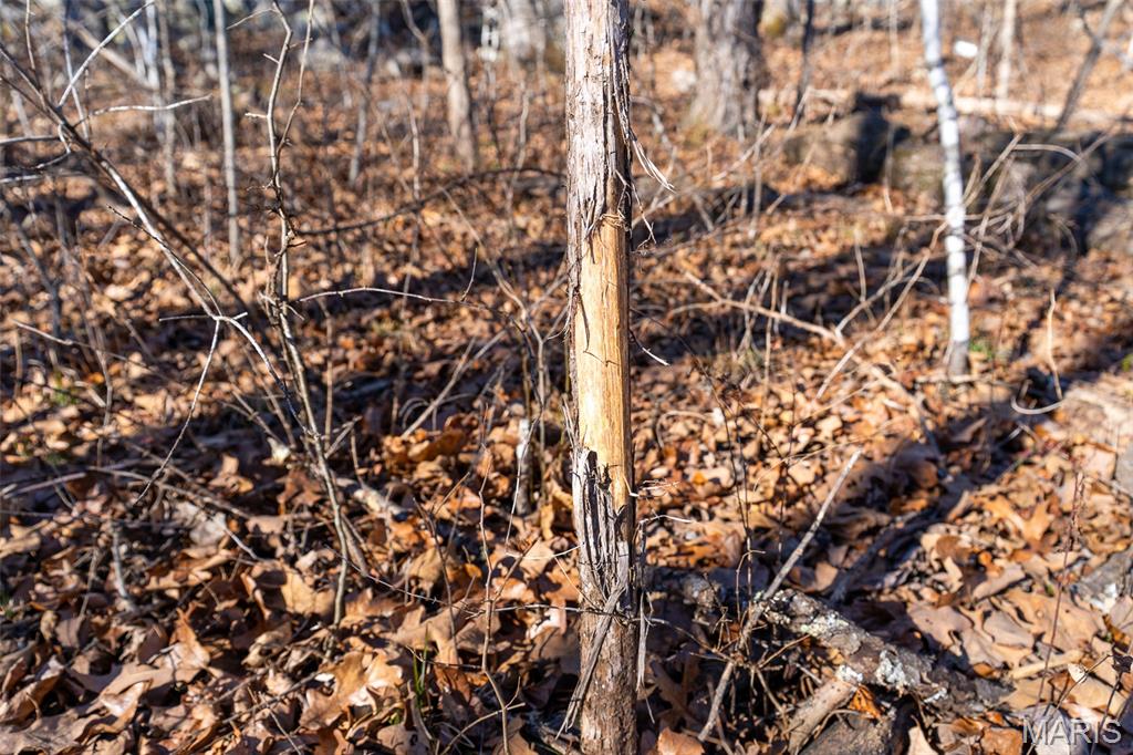 32 Hwy Yy Cook Station Cook Sta, MO 65449 - Photo 49 of 58