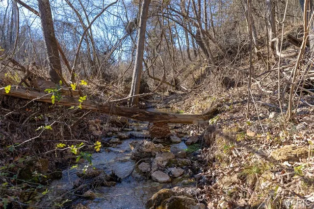 $642,000 | 32 Hwy Yy Cook Station, Cook Sta, MO 65449