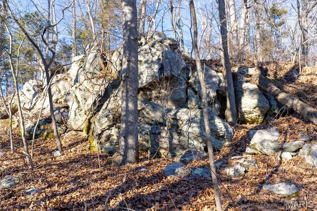 $642,000 | 32 Hwy Yy Cook Station, Cook Sta, MO 65449