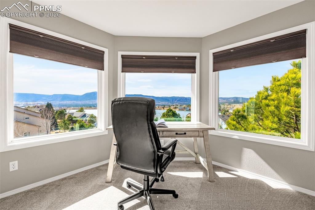 18475 Lower Lake Road Monument, CO 80132 - Photo 8 of 50 a view of a window in the room