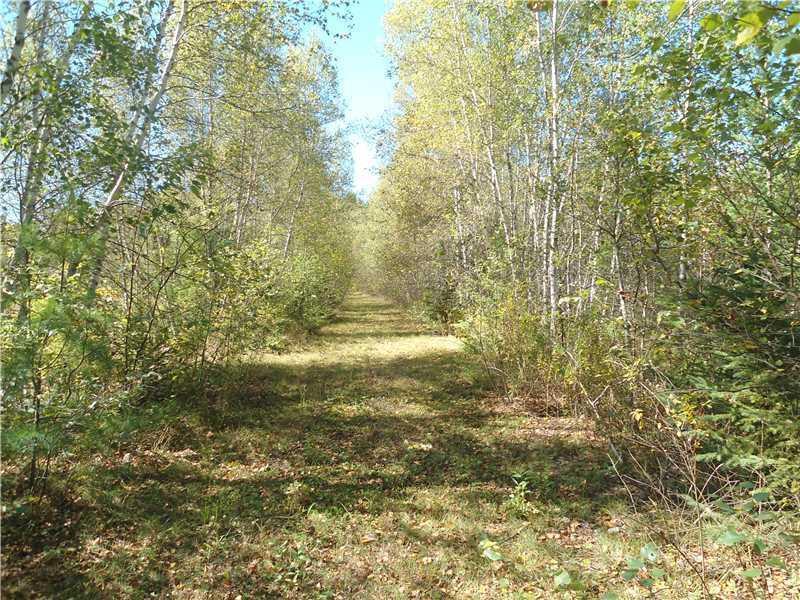 28 Darling Estates Enfield, ME 04493 - Photo 3 of 3 Land.