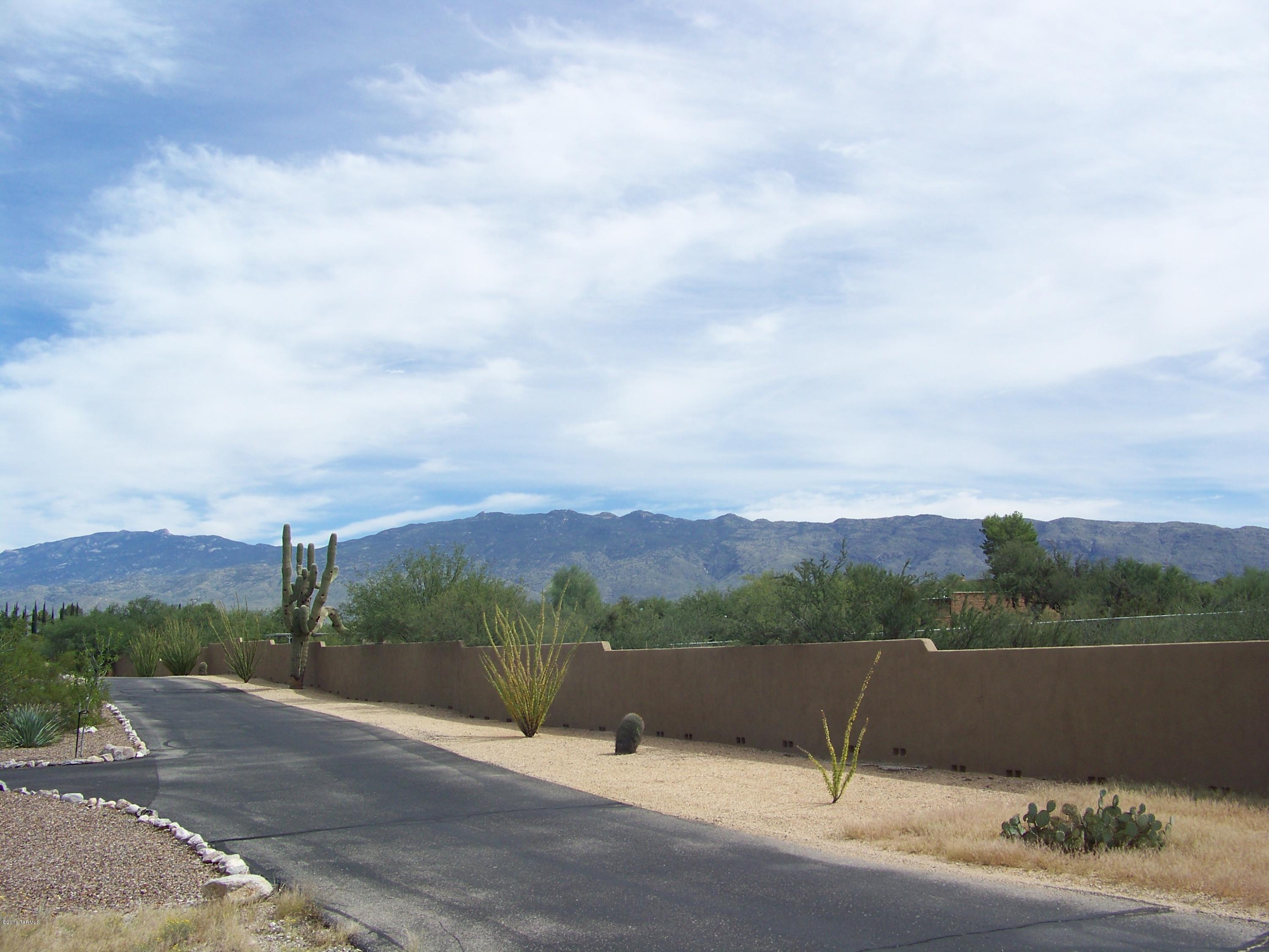 1326 North Tanque Verde Loop Road, Unit 1 Tucson, AZ 85749 - Photo 3 of 47