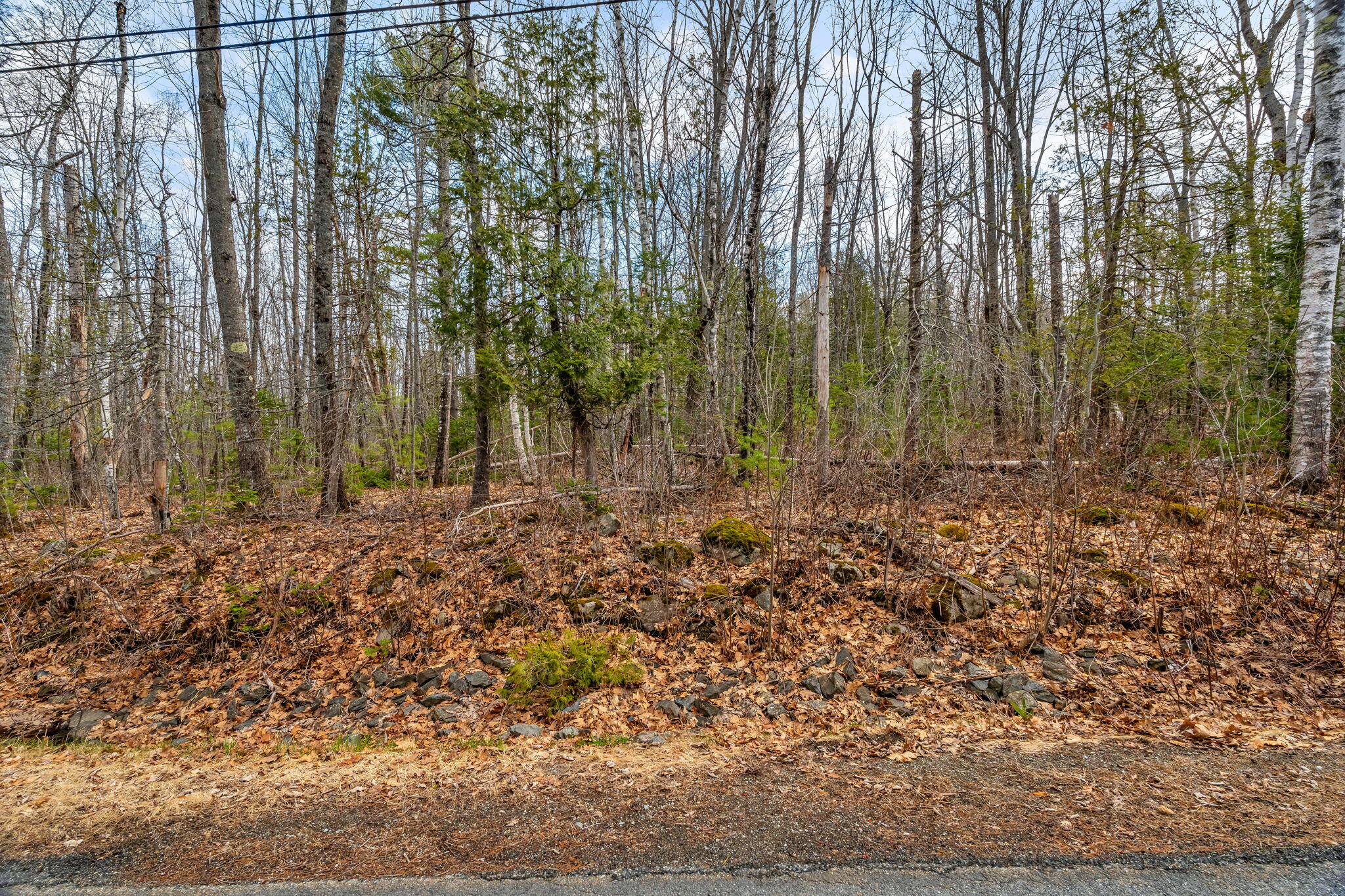 Lot 48 Manning Mill Road Hampden, ME 04444 - Photo 3 of 15 3-web-or-mls-manning-mill-rd