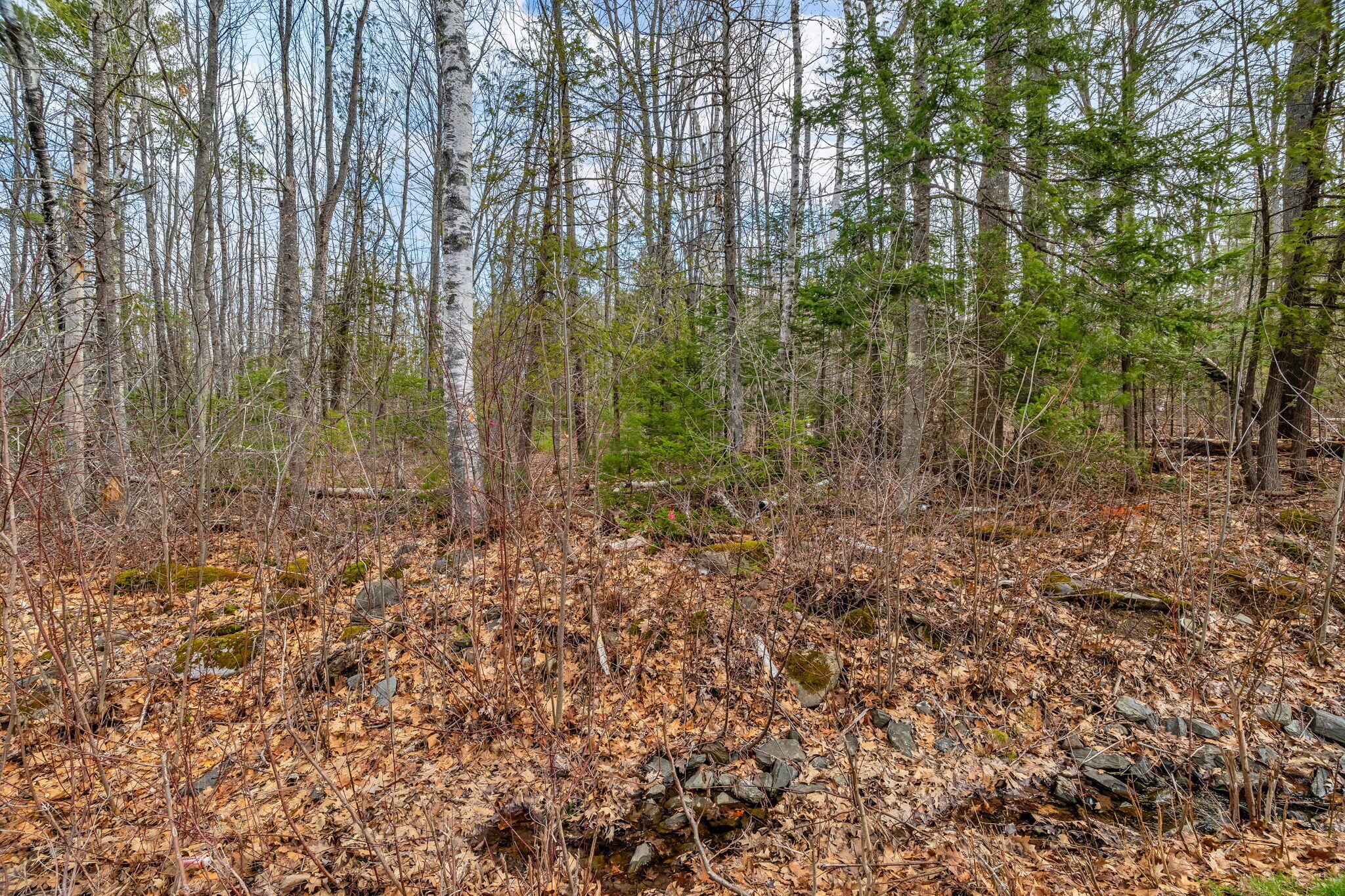 Lot 48 Manning Mill Road Hampden, ME 04444 - Photo 5 of 15 5-web-or-mls-manning-mill-rd