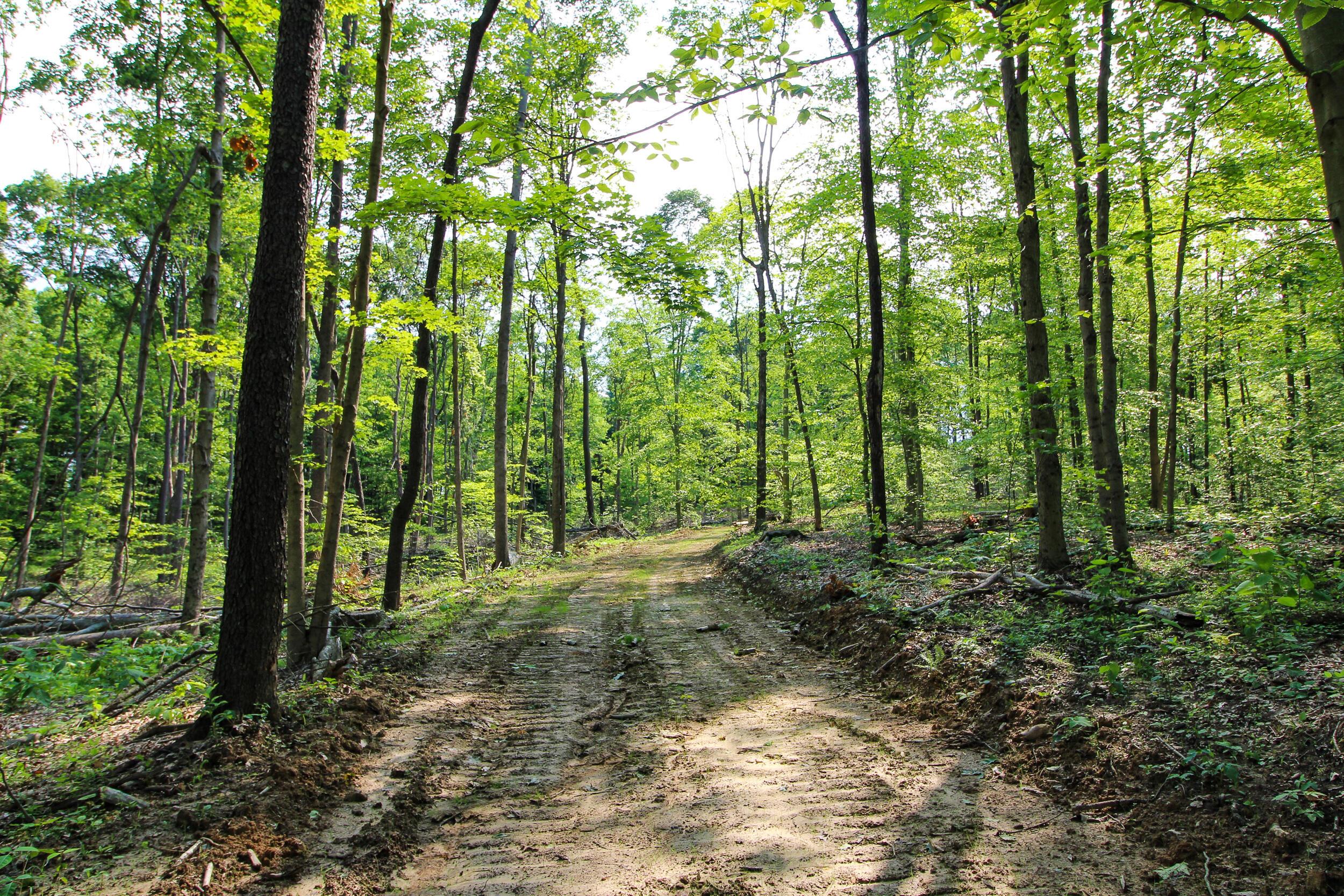 0 Van Horn Road Bremen, OH 43107 - Photo 11 of 24