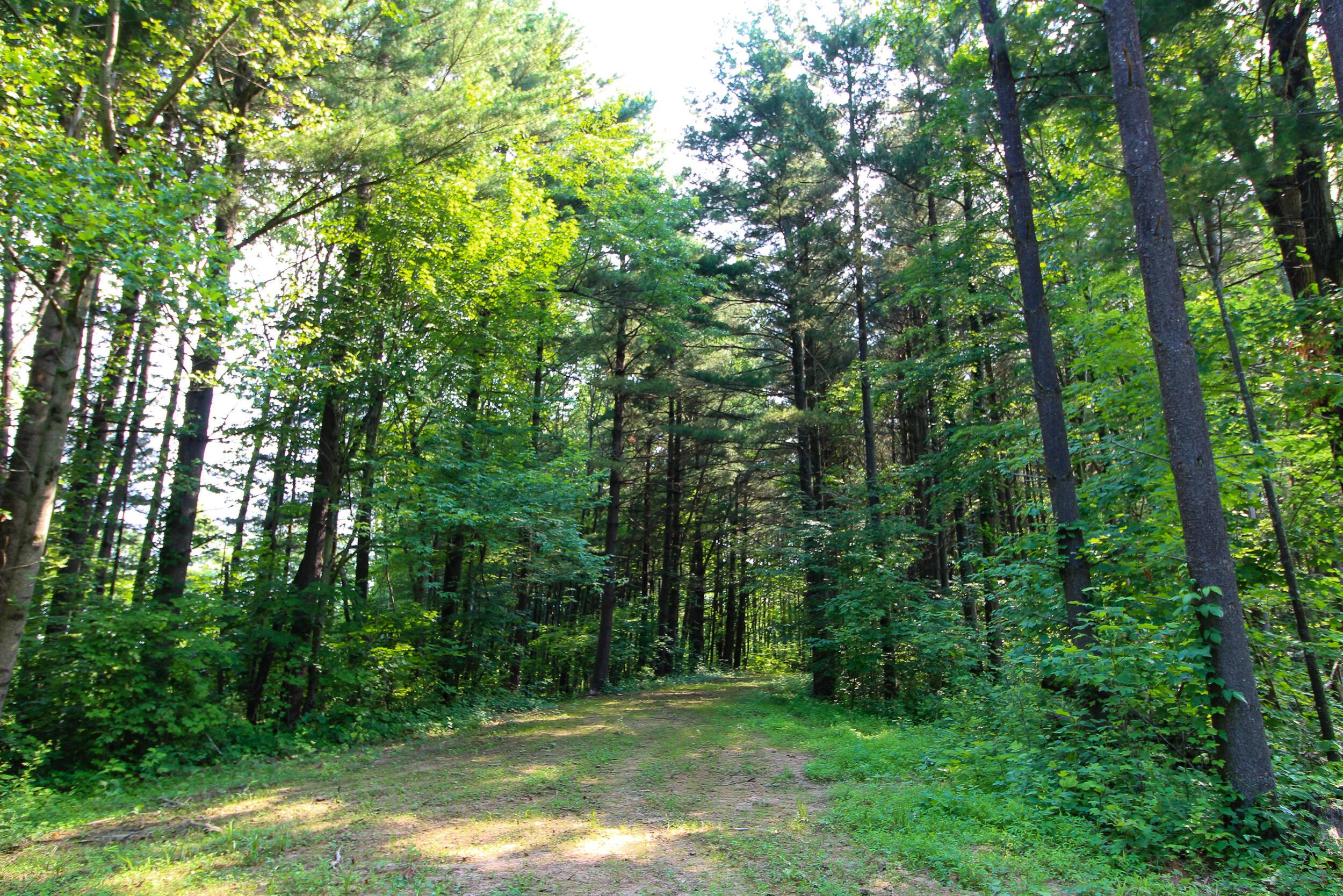 0 Van Horn Road Bremen, OH 43107 - Photo 13 of 24