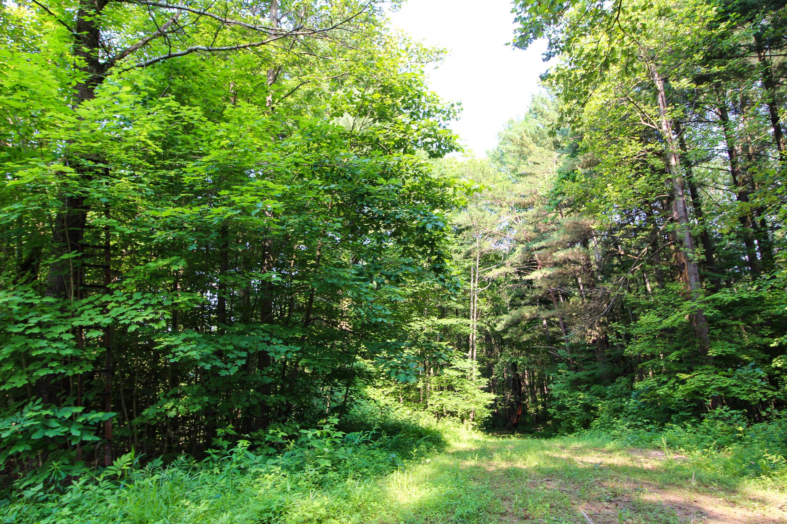 0 Van Horn Road Bremen, OH 43107 - Photo 14 of 24