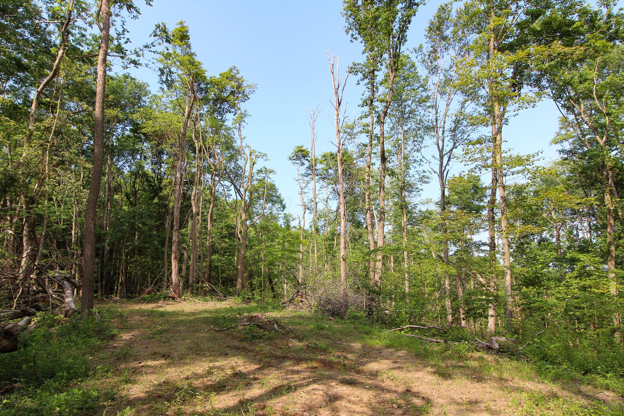 0 Van Horn Road Bremen, OH 43107 - Photo 18 of 24