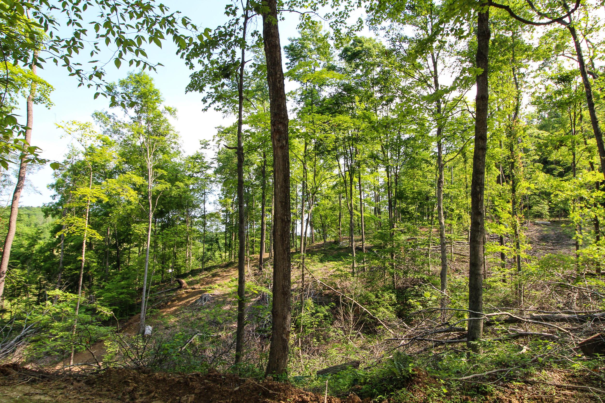 0 Van Horn Road Bremen, OH 43107 - Photo 9 of 24