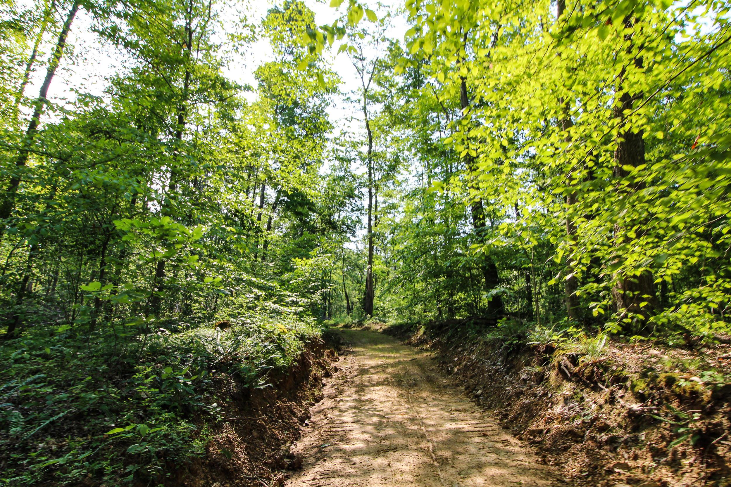 0 Van Horn Road Bremen, OH 43107 - Photo 10 of 24