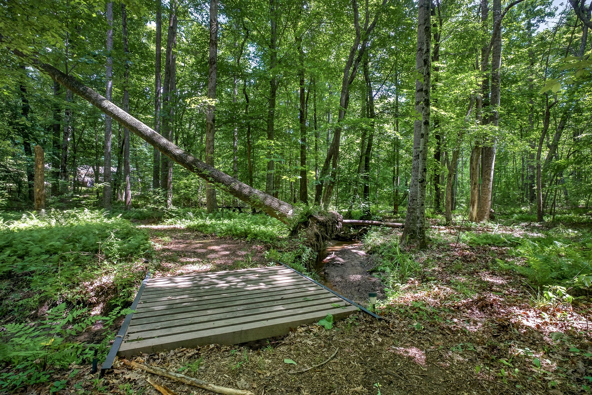 2025 Old Bonair Road Sparta, TN 38583 - Photo 46 of 72
