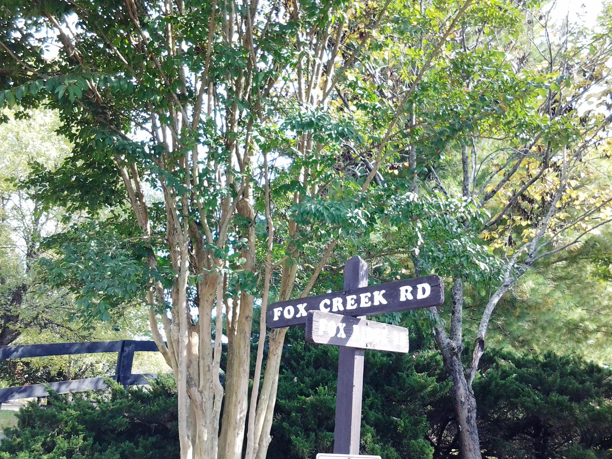 Fox Creek Road Friendsville, TN 37737 - Photo 2 of 8 Left onto Fox Creek Rd
