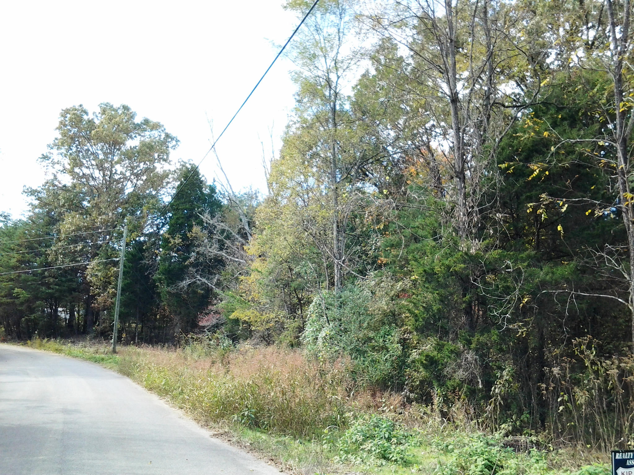 Fox Creek Road Friendsville, TN 37737 - Photo 5 of 8 Left view of property