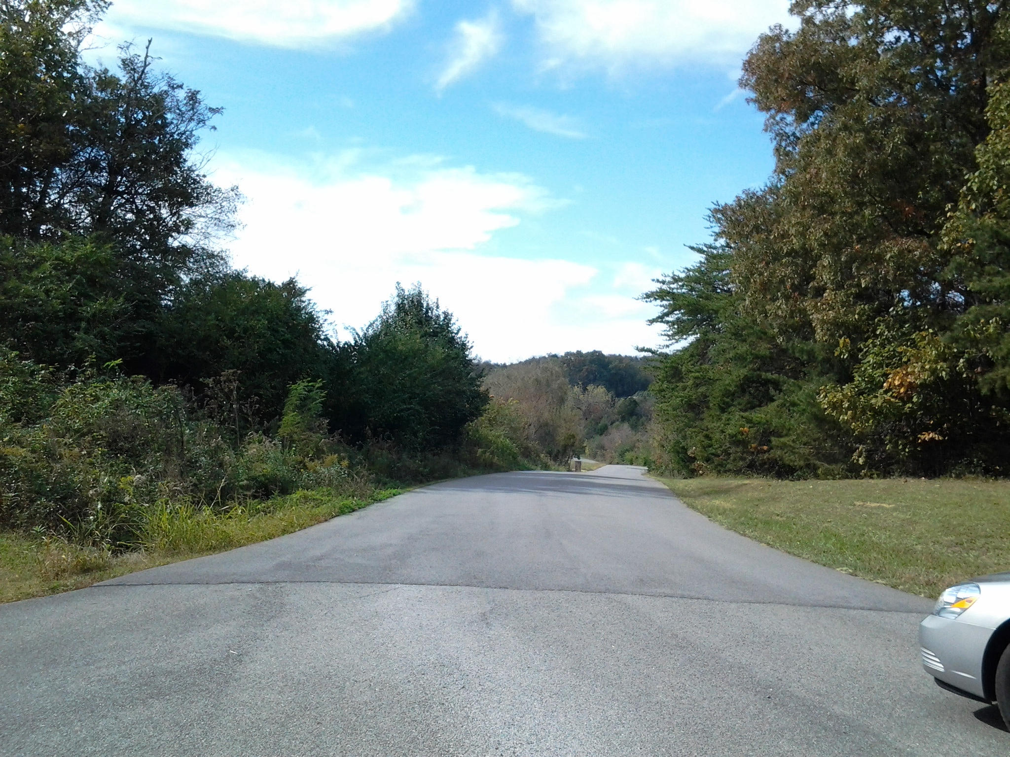 Fox Creek Road Friendsville, TN 37737 - Photo 6 of 8 lft street view